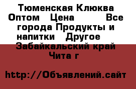 Тюменская Клюква Оптом › Цена ­ 200 - Все города Продукты и напитки » Другое   . Забайкальский край,Чита г.